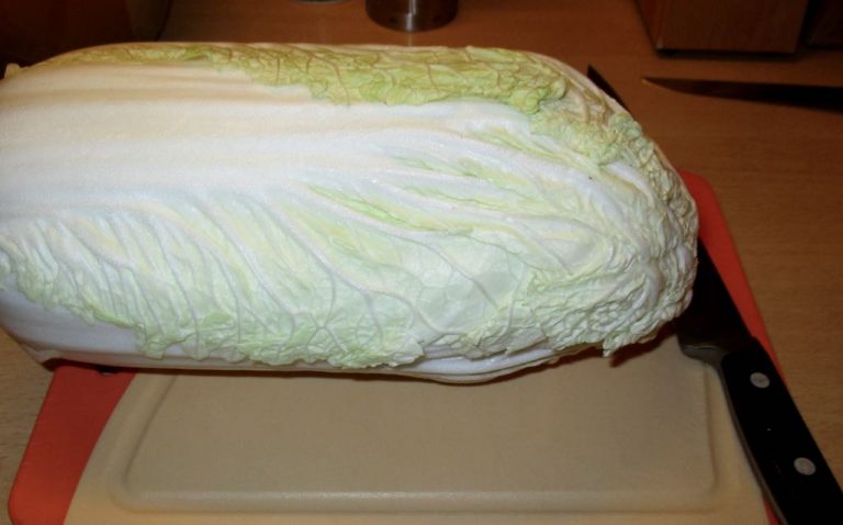 Chinakohlsalat mit Mandarinen – Ichzeigdirwiemanskocht